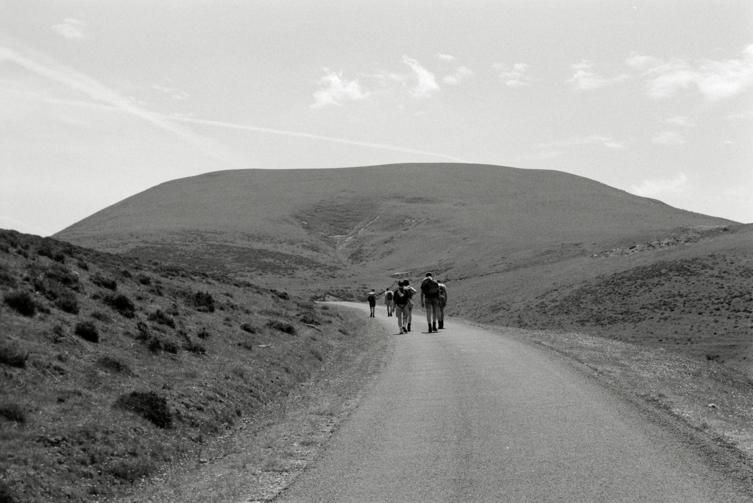 AHP F1995 05 005 sc240818 img17 NLP